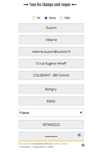 Form_Micromania.JPG